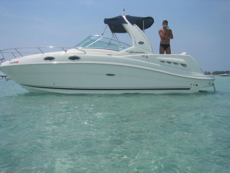 26 foot sea ray sundancer for sale