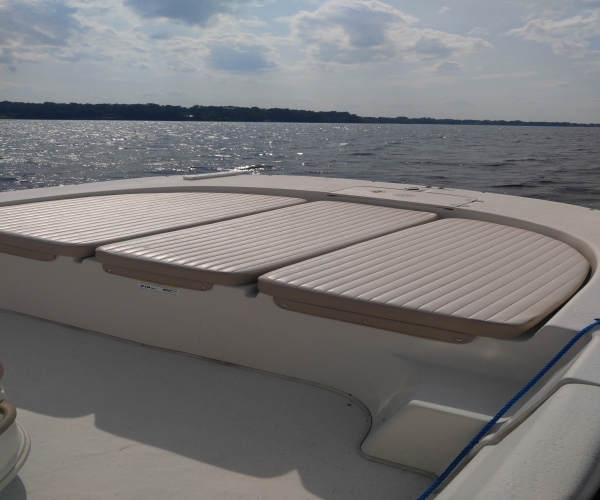 2015 21 foot Carolina Skiff DLV Power boat for sale in New Bern, NC - image 2 