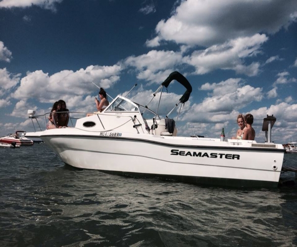 Boats For Sale in Michigan by owner | 2001 Sea Master 2388 walk around