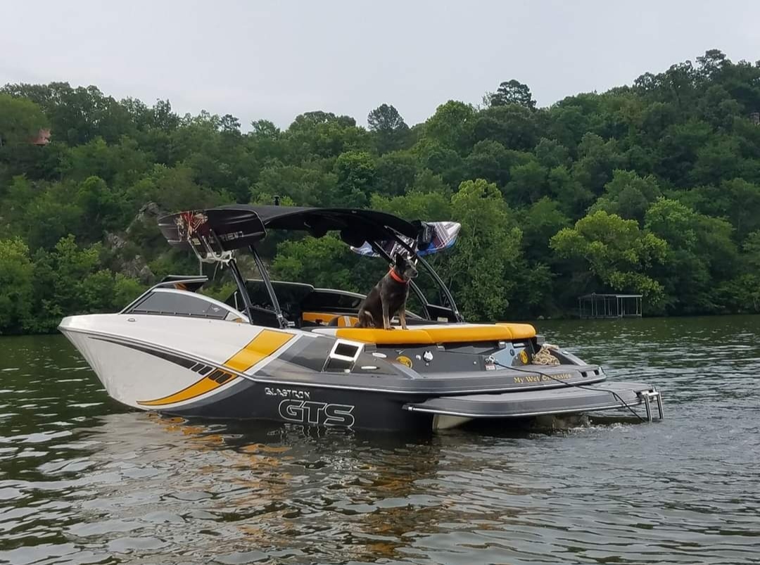 2017 Glastron 225 gts Power boat for sale in Caddo Valley, AR - image 8 