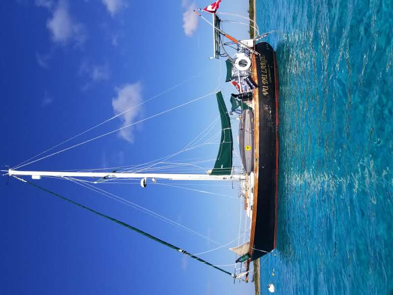 1984 Ta Shing Yachts Baba 40 Sailboat for sale in Hutchinson Is, FL - image 8 