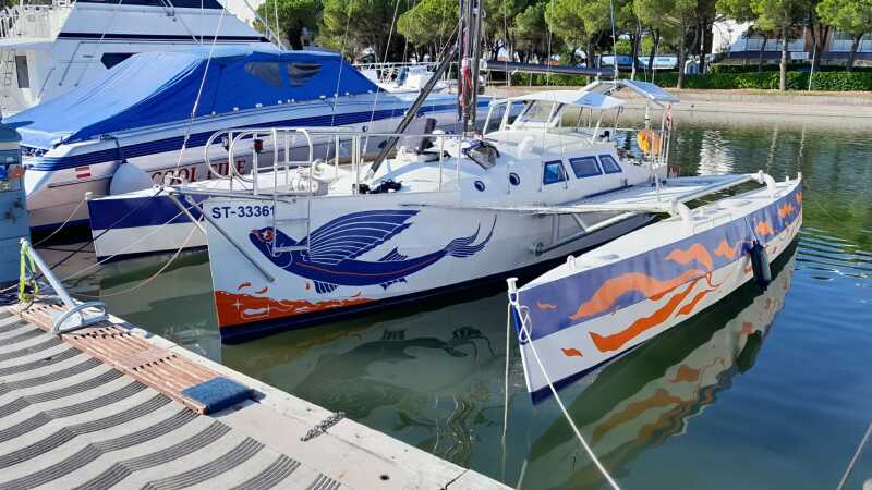 2020 Other Scarab 32 Sailboat for sale in Austria - image 3 