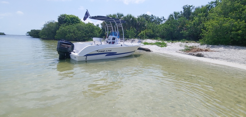 Sport Boats For Sale by owner | 2000 19 foot Pro-Line Sport