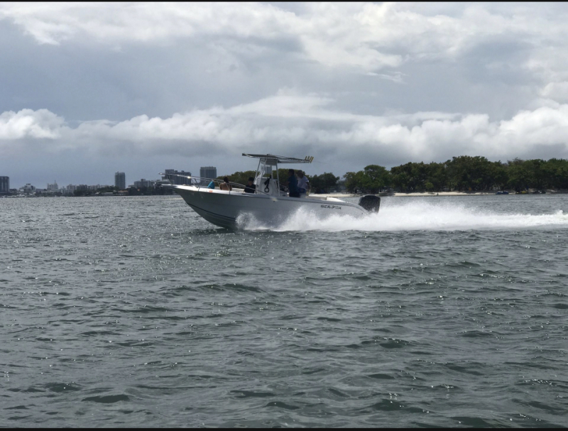 Sea Fox Power boats For Sale by owner | 2006 Sea Fox 257cc