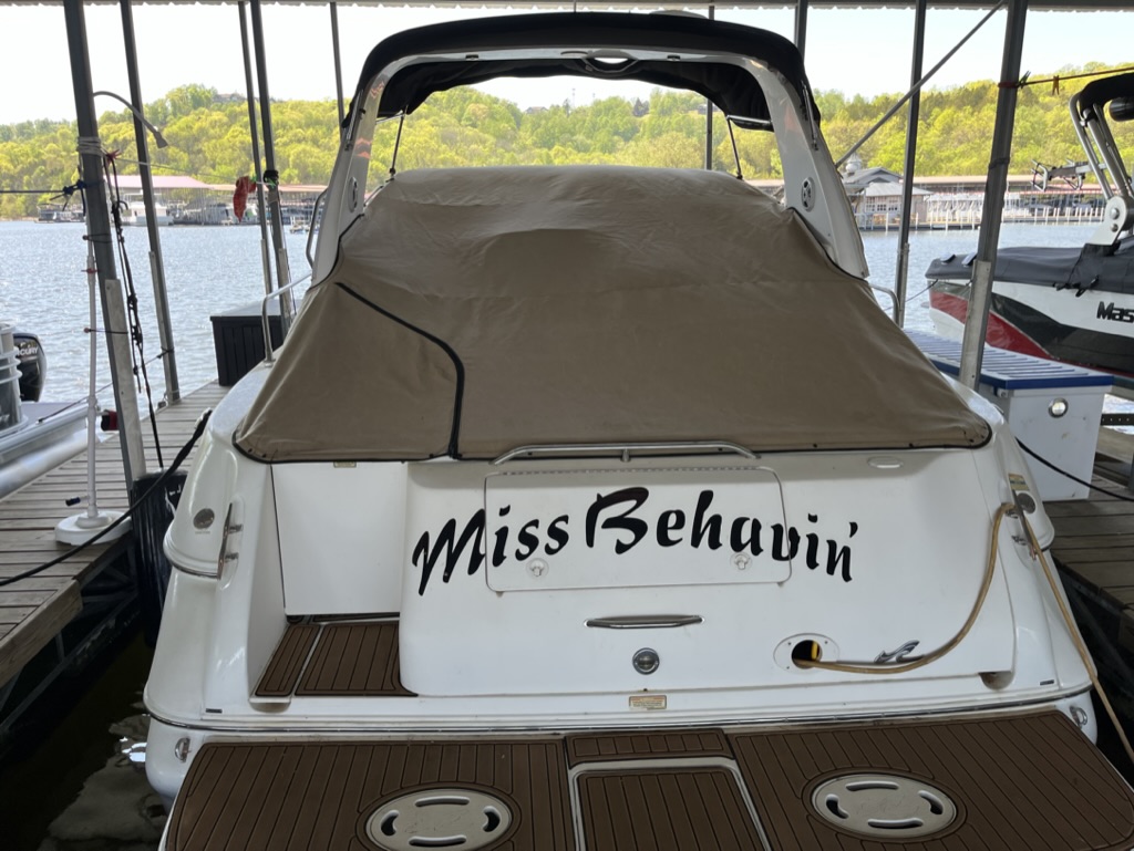 Used Boats For Sale in Tennessee by owner | 1999 Sea Ray Sundancer 310