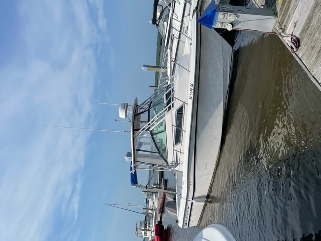 1993 25 foot Grady-White Sailfish Sportbridge Power boat for sale in United States - image 8 