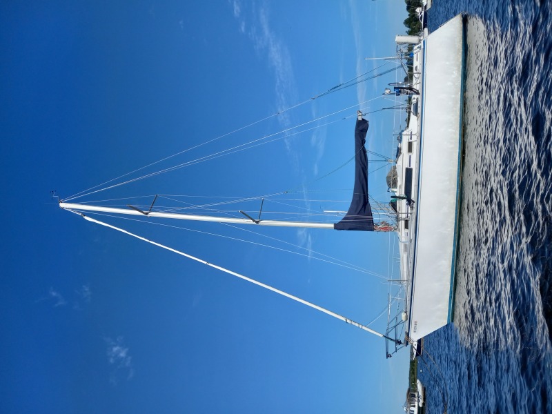 Hunter Sailboats For Sale by owner | 1985 Hunter 31