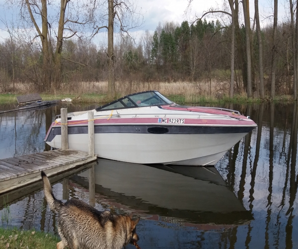 Ski Boats For Sale in Michigan by owner | 1991 Century 3500