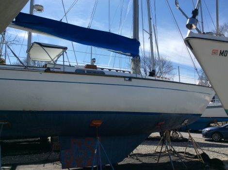 1979 Morgan 382 Sailboat for sale in Baltimore, MD - image 3 