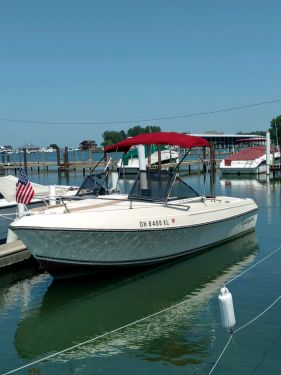 Ski Boats For Sale in Michigan by owner | 1980 Aquasport Family fishermen 19.6