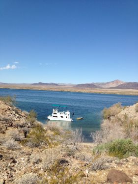 1979 23 foot Steury Houseboat Houseboat Power boat for sale in Mohave Valley, AZ - image 4 