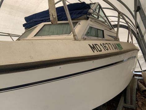 1981 Grady-White 241 Weekender Power boat for sale in Mount Airy, MD - image 2 