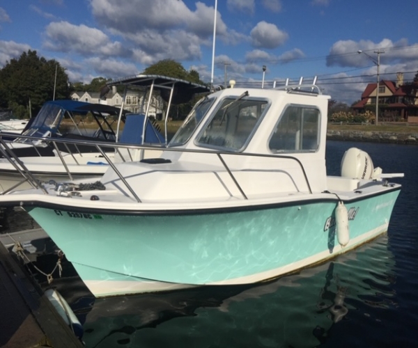 Ski Boats For Sale in New York by owner | 2009 North Coast 21 Hard Top