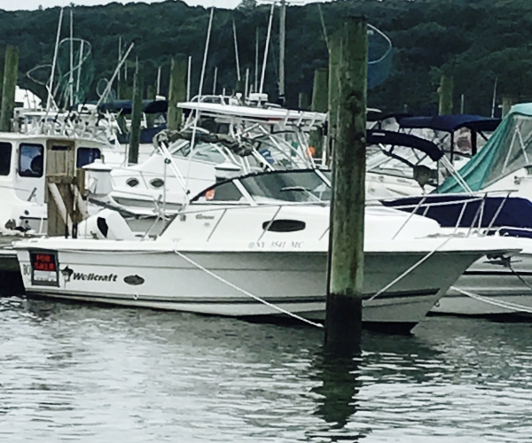 Used Wellcraft Boats For Sale in New York by owner | 2003 22 foot Wellcraft Walk Around