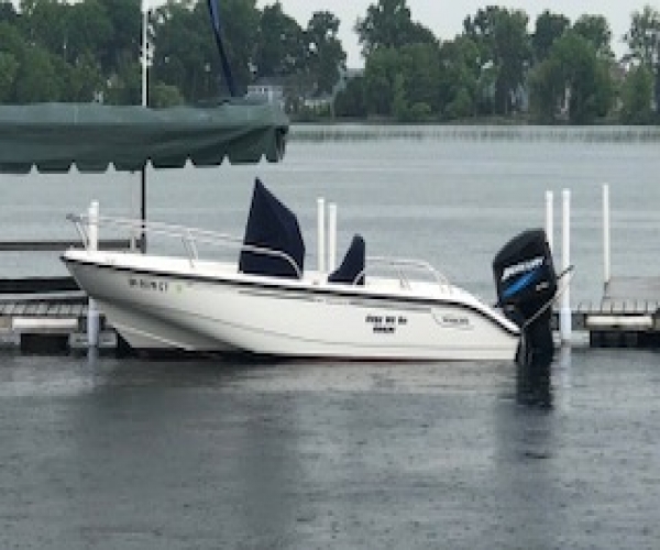 Used Boston Whaler Boats For Sale in Michigan by owner | 2005 18 foot Boston Whaler Dauntless