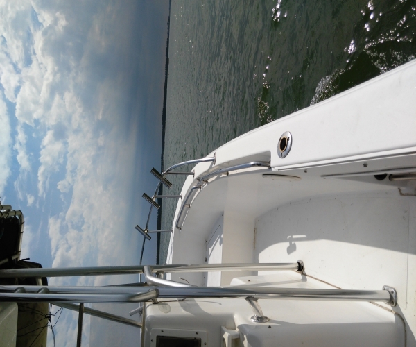 Boats For Sale in Salisbury, Maryland by owner | 2003 22 foot Sea Pro CC