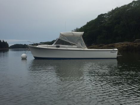 Used Shamrock Boats For Sale in Maine by owner | 1985 Shamrock 259 Cutty Cabin