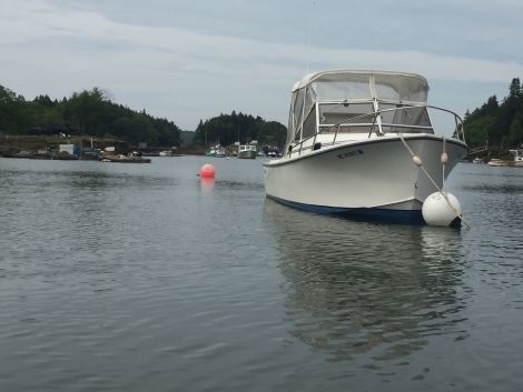 1985 Shamrock 259 Cutty Cabin Power boat for sale in Phippsburg, ME - image 2 