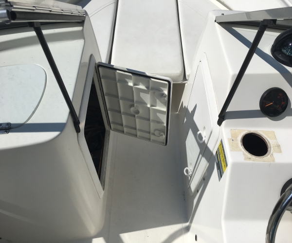 Used Edgewater Boats For Sale by owner | 2006 Edgewater DC 185