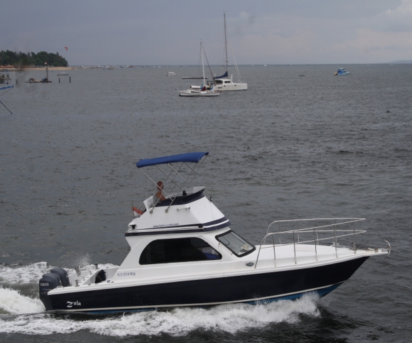 Power boats For Sale by owner | 2015 Bali Boat Fly39