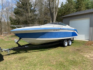 Ski Boats For Sale in Michigan by owner | 1989 Wellcraft 233 Eclipse