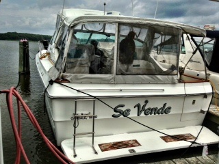 1989 39 foot Sea Ray Express Cruiser Motoryacht for sale in Aberdeen, MD - image 1 